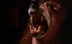 The Dreaming and The Dreamt: A Lexicon of Neil Jordan's The Company of Wolves